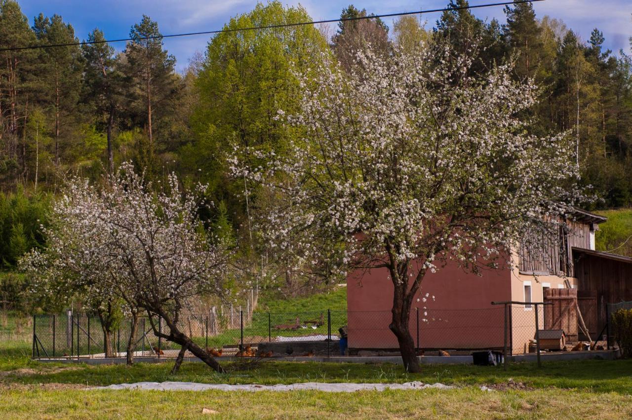 U Jadzi Pogorze Przemyskie Bircza Exterior photo